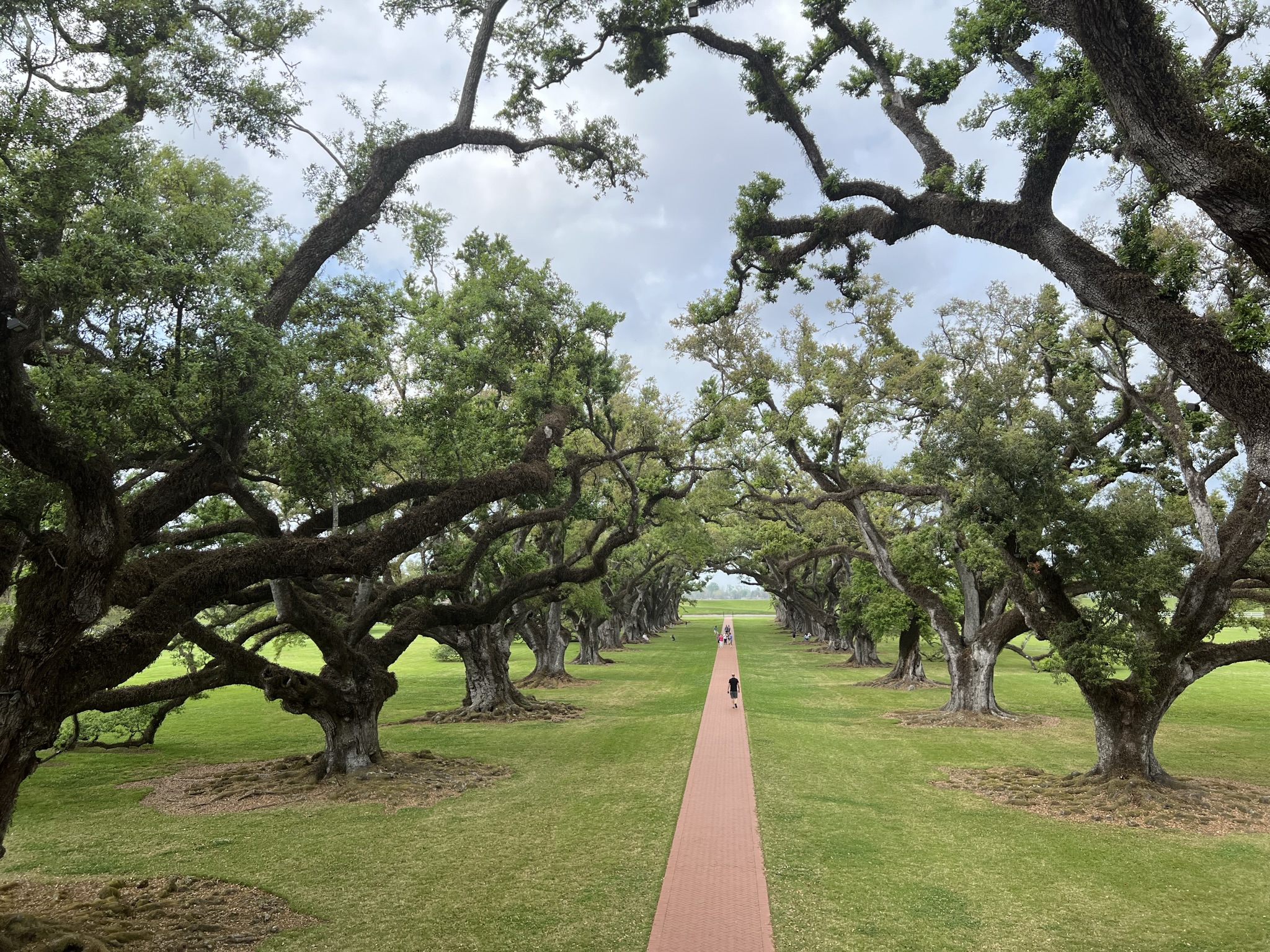 Louisiana featured travel photo