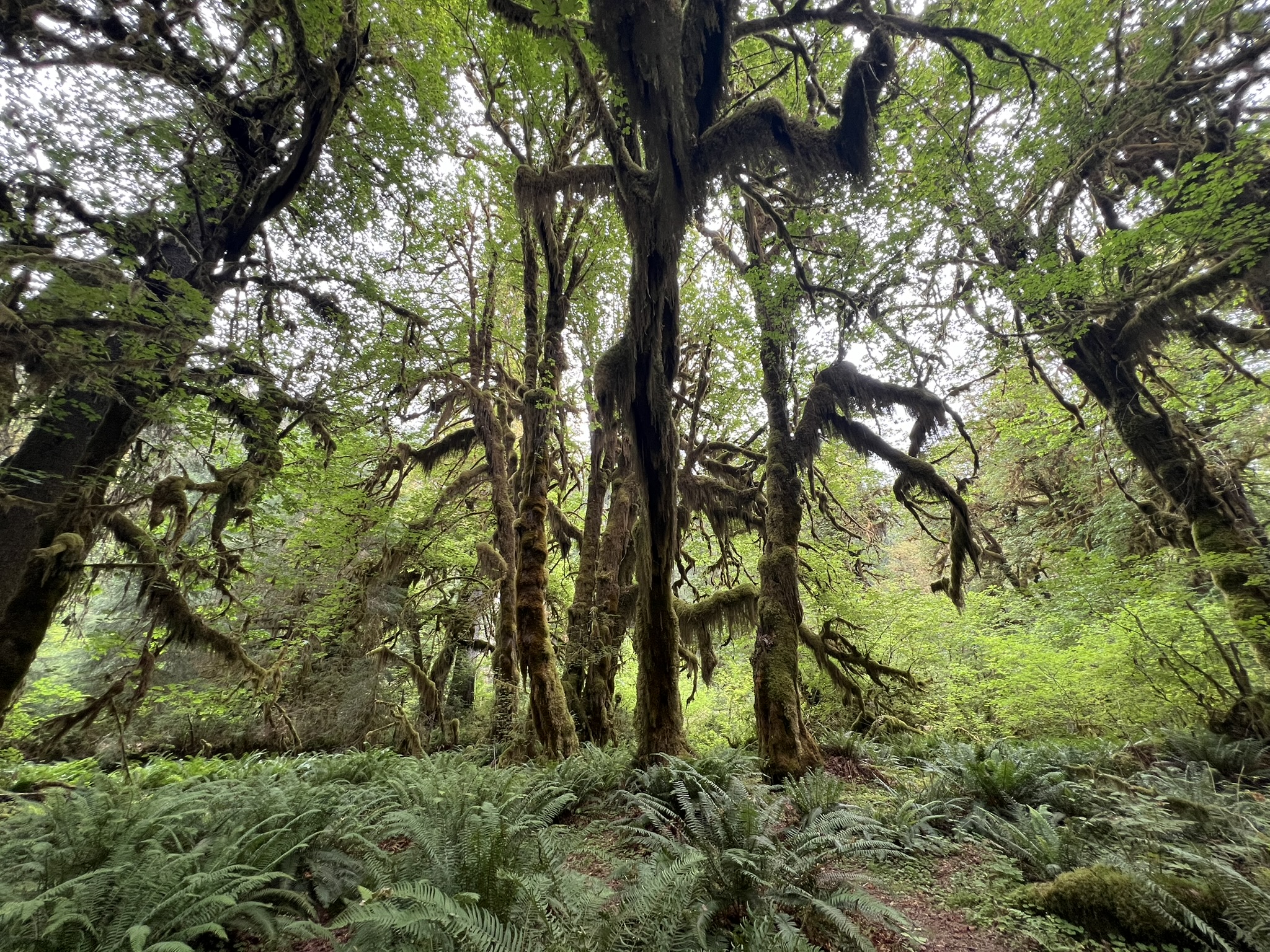 Washington featured travel photo